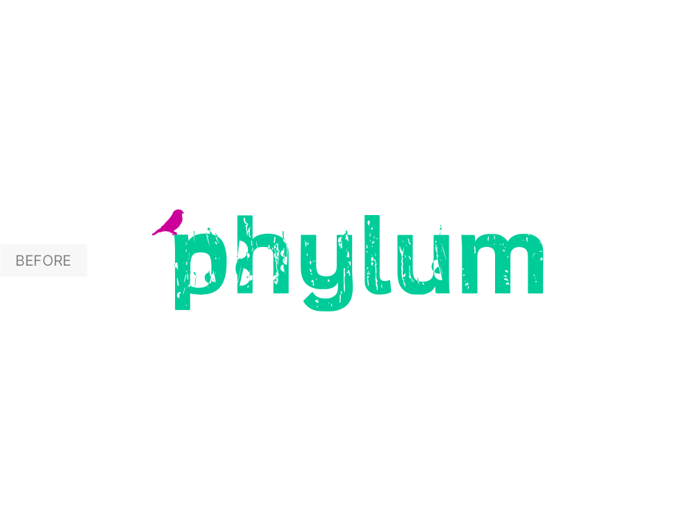 Phylum before logo