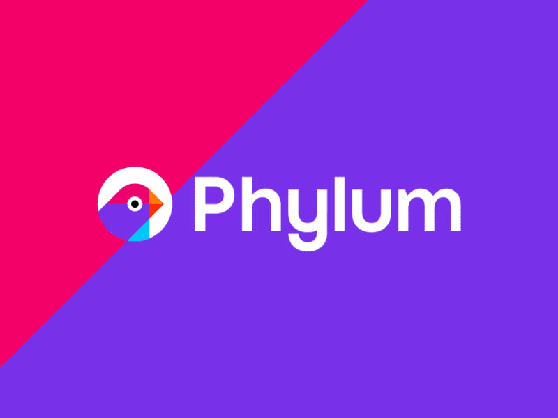 Phylum, software development security logo animation intro